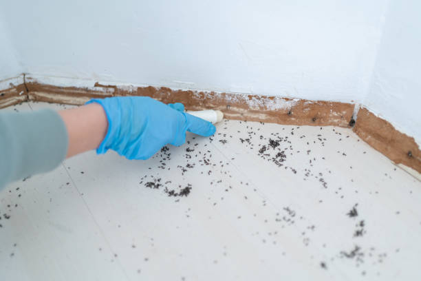 Best Emergency Pest Control  in Monarch Mill, SC